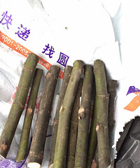 ����Ĵ󲨺ʹ��굽��