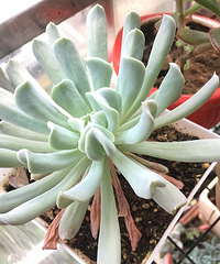 ������������