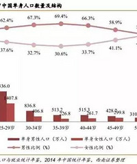 [����]�й����Ĵε�������Ϯ