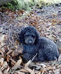 Ⱥ��С��飡��Һã��㽭���ݾ�����·����