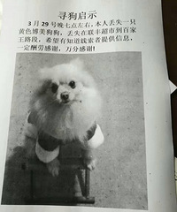 �°����Ѱ��