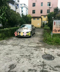 ��ֻ�����ܵ�è��ſ�ڱ�������Ϸˣ