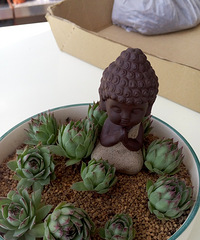 ������Ҫʱ��