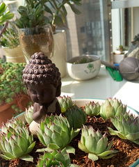 ������Ҫʱ��