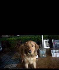 Ѱ�����ˣ��Ҳ������˾�����������Ѱ������