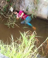 �ӵ�����"��ʬ"Ⱥ�ڻ�æ�������̣�����ʵ�ھ���