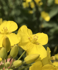 ���۸��᡿�����һ������һ�ܵ�Сƨ����������ȥ������