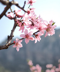 �������ҵ������