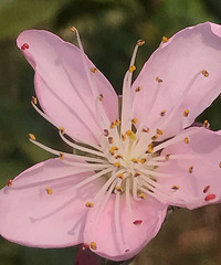 ���۸��ࡿ������Ϊ�����˽ڱ��׿�����