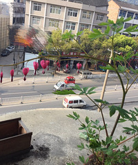 �ɰ�ĵ������