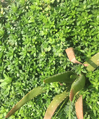 �����͵ġ����źܻ�ϲ��