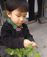 ���۲˰β���