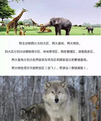 ���۸��᡿̨��Ұ������԰�������ţ����ȥ����