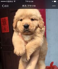 �������ؼ���С��ë��ʼ������