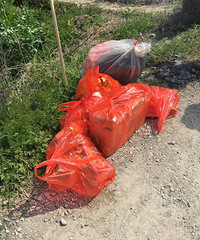 ���۸��᡿�����Ϸأ�������������������