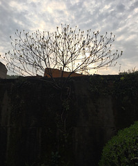 �����ϡ�����һ������ǿ