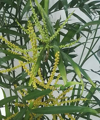 ���ӿ��Ļ�