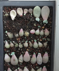 �ҵ��ҵ��־Ϳ������ˣ�