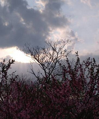 ���۸��᡿���ڵ����ǲ��ǻ�Խ��Խ��