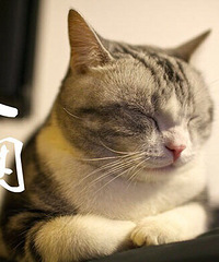 ���۸��᡿�����ϰ���û�д����ĸо�����ʲô�취����