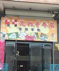 ȥ�����ѧ����һ�ҳ���������ע���ˣ������è��