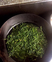 ������Ҫ������