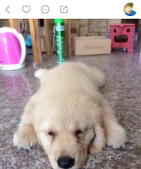 ��л2000����������˰�æ�ҽ�ë