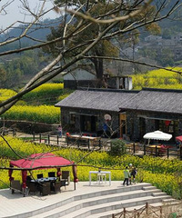 �����ž��Ǹ��ָ��ֻ�