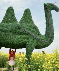 �Ͳ˻���ŷ���