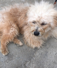 ���֣��������꣬ĸ����Ѱ�������ˣ�������