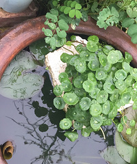 �ٷ�һ�λ����оͷ���