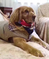 ȫ�ǰ�æѰ���������������٣����꣬Ů����