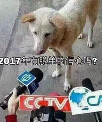 ���۸��ࡿ������2017�����ѵ���������