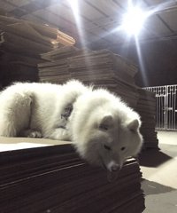 ��������С��˭����ĦҮ���ˣ�������