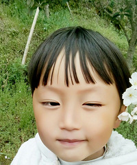 �ɻ�Ϊ�����