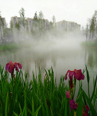 ���ĺͺϹ�԰