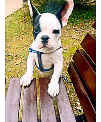 Ϊ�Ҽ�С������Ů�ѣ��ٺ�