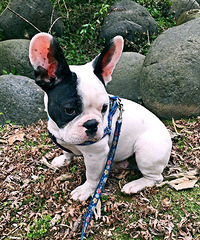 Ϊ�Ҽ�С������Ů�ѣ��ٺ�