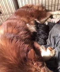 ��̨���ٺ����ｻ��Ⱥ�𣬼Ӹ�