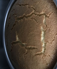 �����ݷ絰��