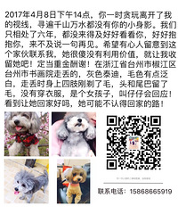 Ѱ����ʾ��������ᶪʧ