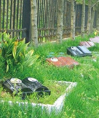 [��ªϰ]����ɥ��ĸ��������