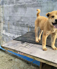 ��������ת��