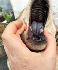 ��������ת��