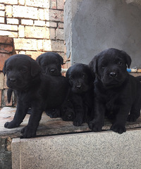 �������������ȳ�