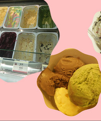 ��ţ�źͱ���ܵļ��´��侪����