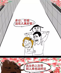 �װٺΡ�����ˮ����Ϸ�������������������ѣ���ʧ��33�졷������