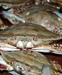 ���۸��᡿������̨�ݵ��㣬��ϲ���Եĺ�������һ���أ�