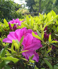 ���ͽ�ҡ����ַ�Դ���ܣ��������򷿵��˶�������Ӵ