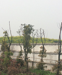 ��������������ô���Ͳ˻����Ǹ���ģ�